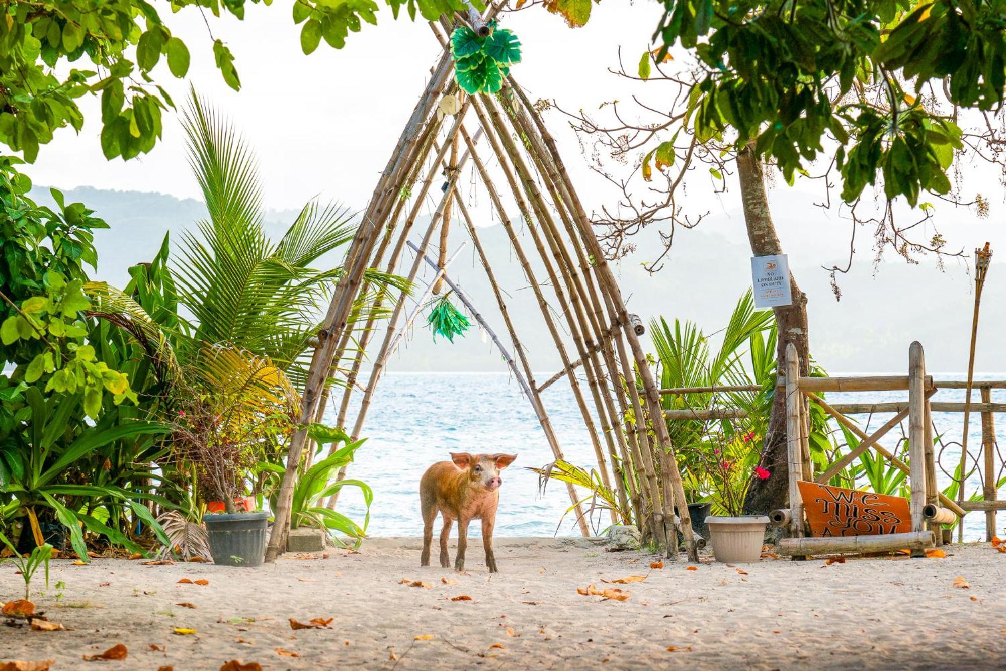 Isla - The Island Experience Hotell El Nido Eksteriør bilde