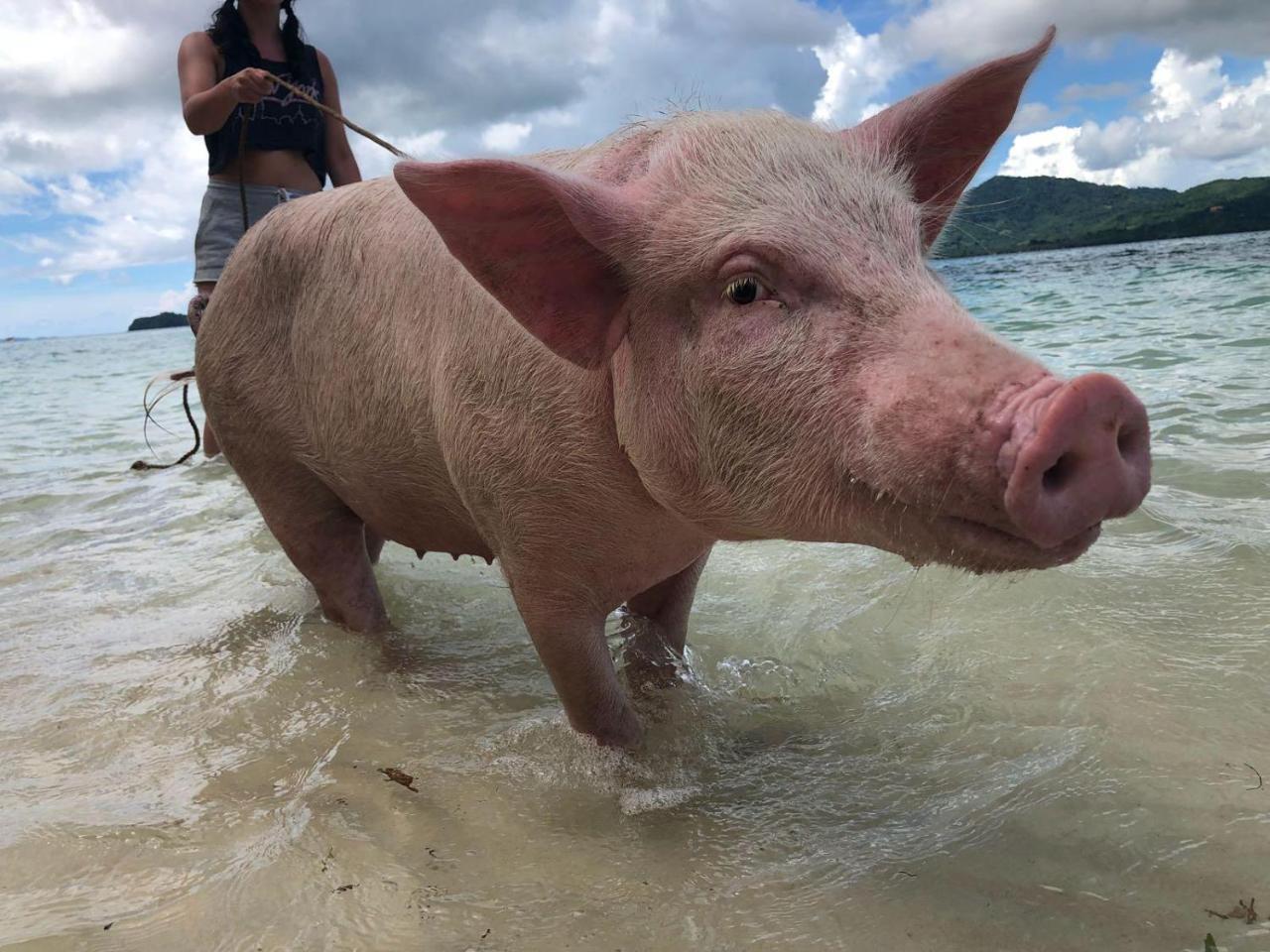 Isla - The Island Experience Hotell El Nido Eksteriør bilde
